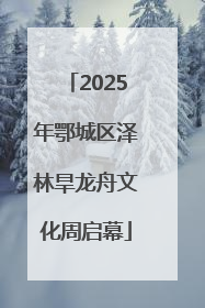 2025年鄂城区泽林旱龙舟文化周启幕