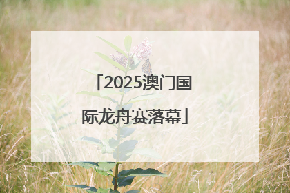 2025澳门国际龙舟赛落幕