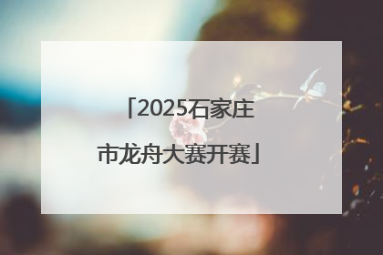 2025石家庄市龙舟大赛开赛