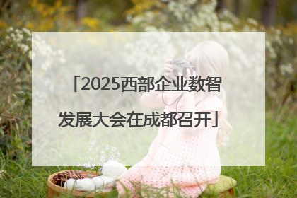 2025西部企业数智发展大会在成都召开