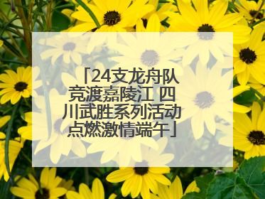 24支龙舟队竞渡嘉陵江 四川武胜系列活动点燃激情端午