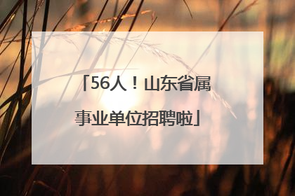 56人！山东省属事业单位招聘啦