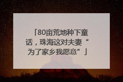80亩荒地种下童话，珠海这对夫妻“为了家乡我愿意”