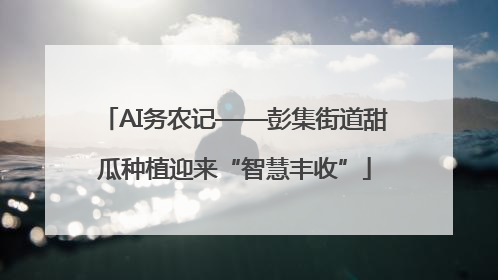 AI务农记——彭集街道甜瓜种植迎来“智慧丰收”