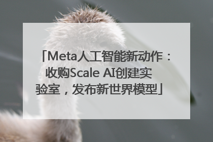 Meta人工智能新动作：收购Scale AI创建实验室，发布新世界模型