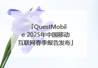 QuestMobile 2025年中国移动互联网春季报告发布